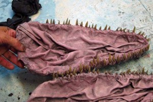 14 Paper Mache Drogon- blackwash jaws